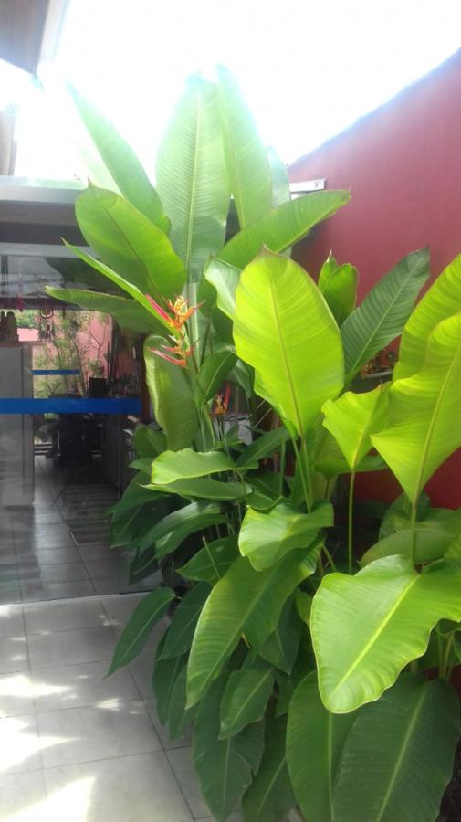 Casa à venda com 3 quartos, 150m² - Foto 28